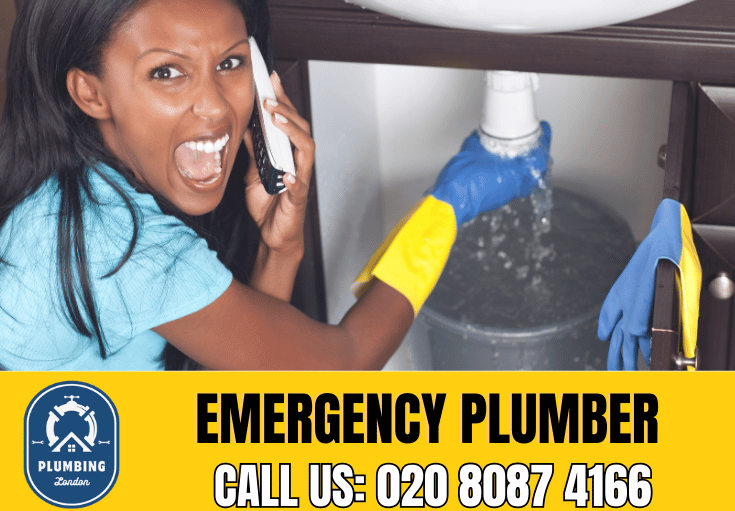 emergency plumber South Kensington